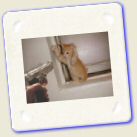 animaux-010.jpg