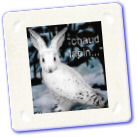 animaux-020.jpg