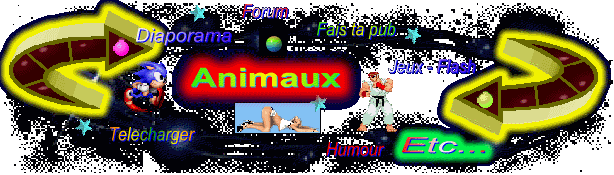 Animaux